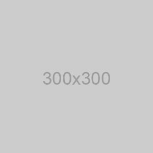 iOS Developer